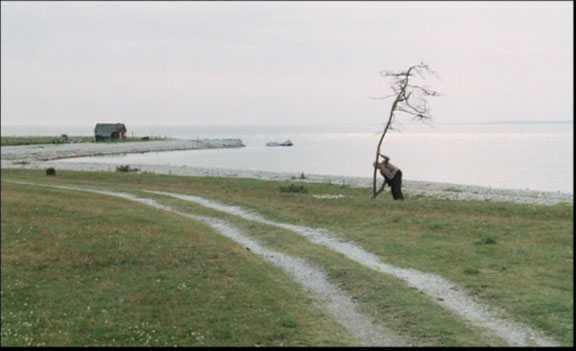 tarkovsky un vieil homme plante un arbre décharné