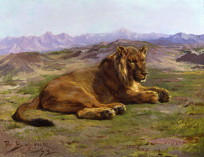 rosa bonheur lion couché