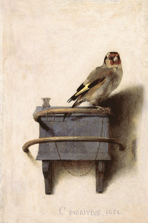 fabritius le chardonneret