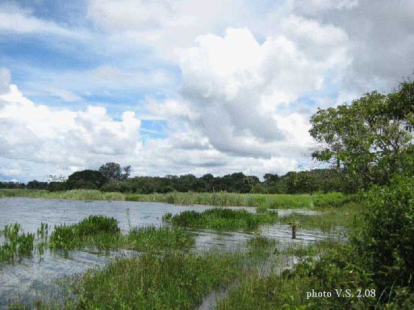 photo de  Vincent  Steffen Amazonie bolivienne