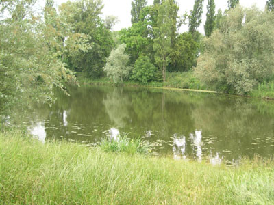 paysage  photo  du  domaine   de notre pie  