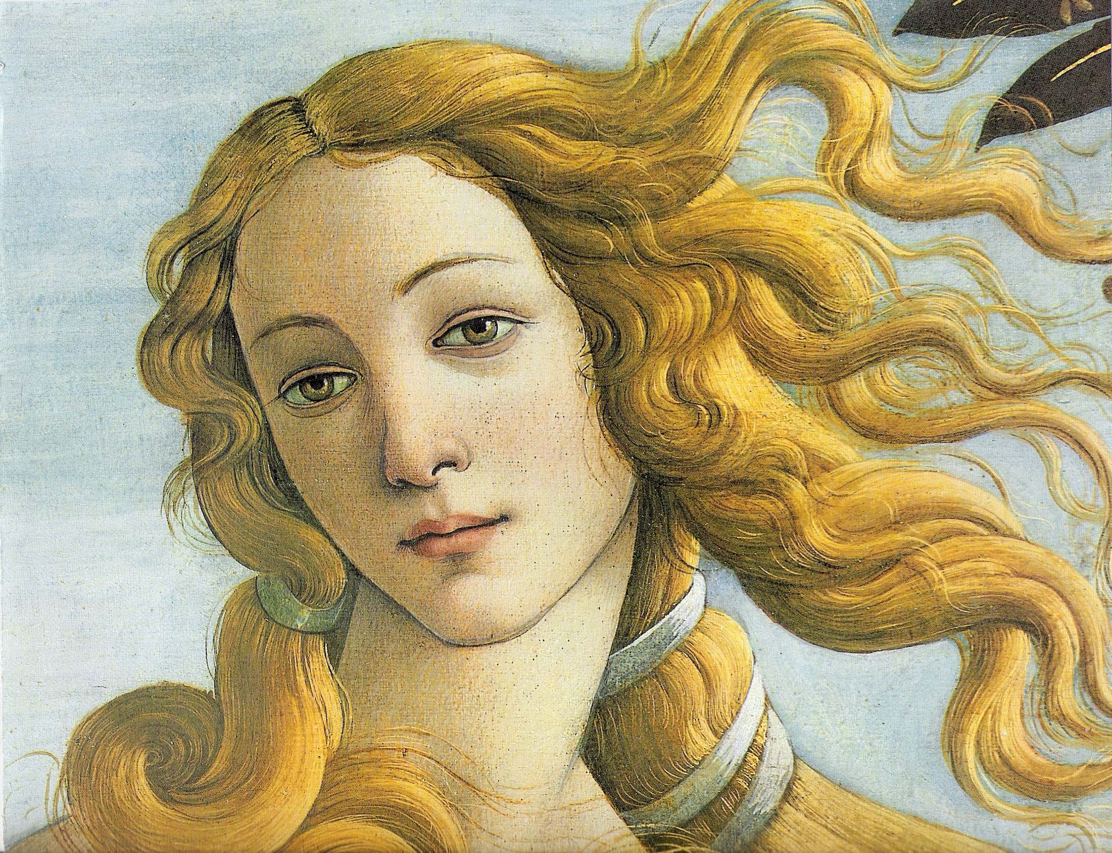 venus détail