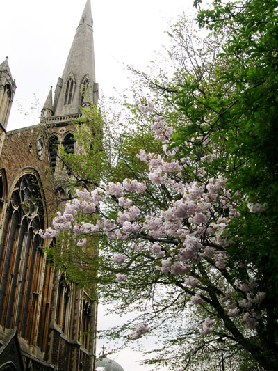 Londres 027 bayswater6 st matthews church 