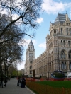 Londres, le  muséeum  d'histoire  Naturelle